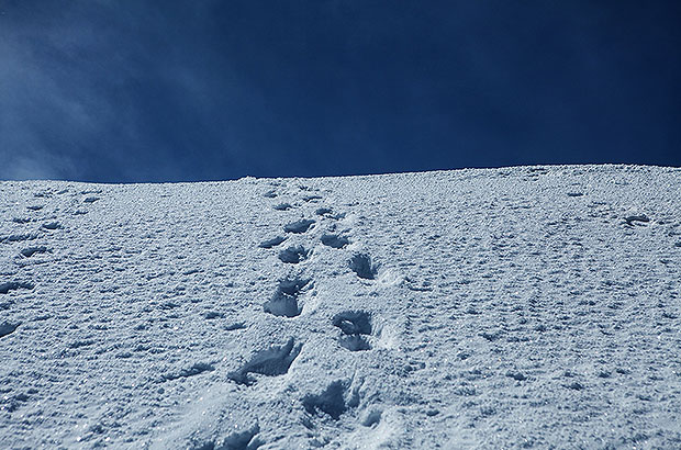 The footprints of those who could not afford a taxi to Mount Elbrus.